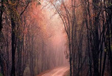 -中超魔幻夜！拜仁尤文空降天河武磊单挑诺伊尔改写历史