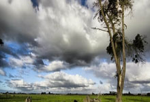 -奥地利队翻盘波兰队，王皓扛起全队