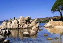 DB彩票-英超赛场现惊天逆转！“掘金”逆流而上，关键一战粉碎西班牙铁壁！