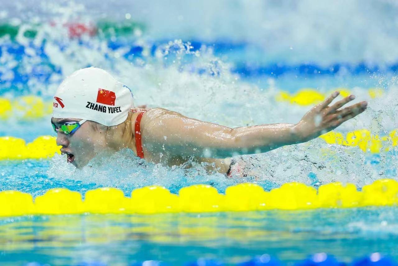 游泳项目再添一金牌，中国队豪取佳绩的简单介绍