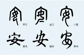 DB彩票-安赛舜克泽包贝德马多夫发开