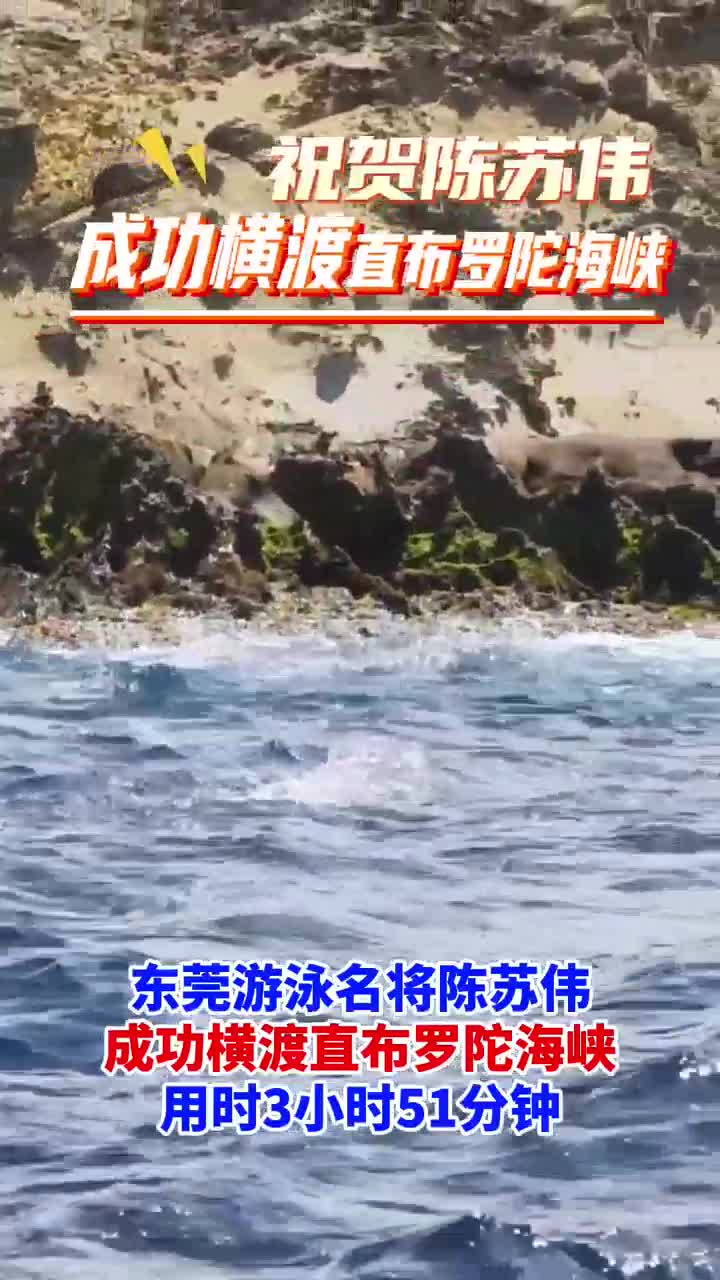DB彩票试玩-游泳名将再刷纪录，水流飞扬的简单介绍