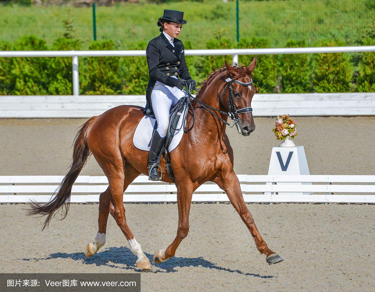 巴西马术选手获得女子个人全能冠军
